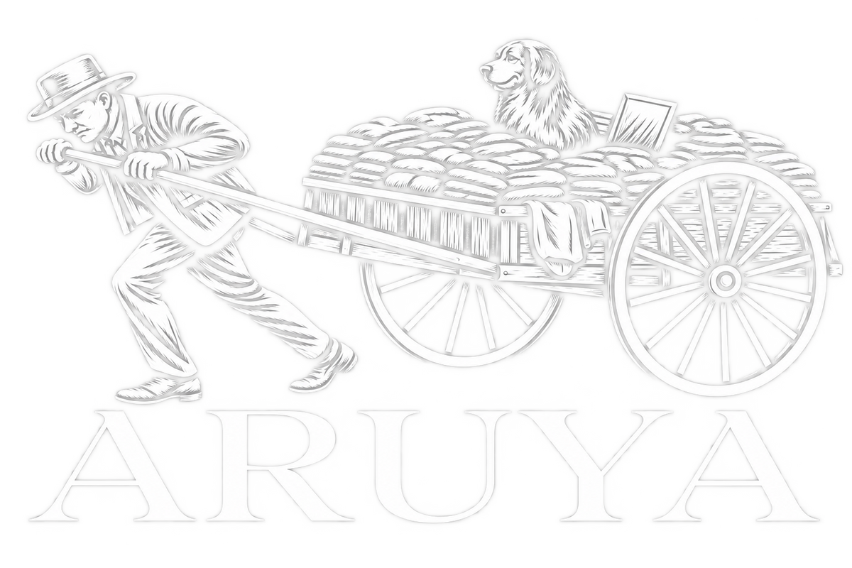 Aruya